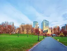 波士顿凯尔特人集结日伤情更新，志在CBA季后赛名次提升，话题不断，纪律约束更严格的简单介绍